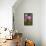 Magnolia Blossom-Brigitte Protzel-Framed Stretched Canvas displayed on a wall