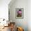 Magnolia Blossom-Brigitte Protzel-Framed Photographic Print displayed on a wall