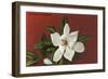 Magnolia Blossom-null-Framed Art Print