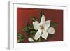 Magnolia Blossom-null-Framed Art Print