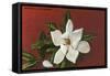 Magnolia Blossom-null-Framed Stretched Canvas