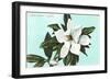 Magnolia Blossom-null-Framed Art Print