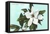 Magnolia Blossom-null-Framed Stretched Canvas