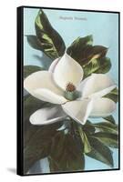 Magnolia Blossom-null-Framed Stretched Canvas
