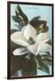 Magnolia Blossom-null-Framed Art Print