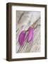 Magnolia, Blossoms, Buds, Magenta-Andrea Haase-Framed Photographic Print