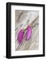 Magnolia, Blossoms, Buds, Magenta-Andrea Haase-Framed Photographic Print