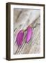Magnolia, Blossoms, Buds, Magenta-Andrea Haase-Framed Photographic Print