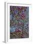 Magnolia Blossoms, Oregon Garden, Silverton, Oregon, Usa-Michel Hersen-Framed Photographic Print