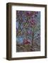 Magnolia Blossoms, Oregon Garden, Silverton, Oregon, Usa-Michel Hersen-Framed Photographic Print