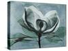 Magnolia Blues 1-Albert Koetsier-Stretched Canvas