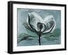 Magnolia Blues 1-Albert Koetsier-Framed Art Print