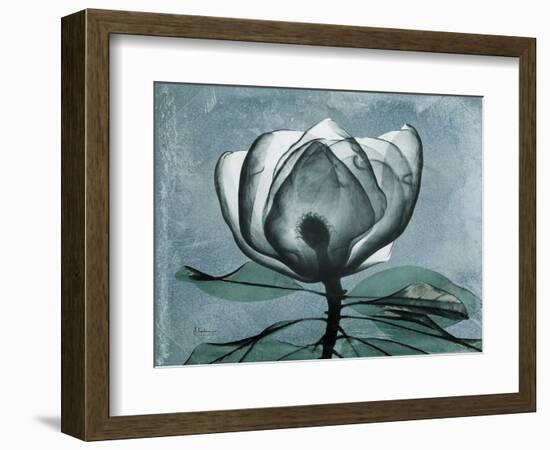 Magnolia Blues 2-Albert Koetsier-Framed Art Print