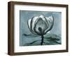 Magnolia Blues 2-Albert Koetsier-Framed Art Print