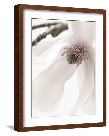 Magnolia Blush I-Christine Zalewski-Framed Art Print