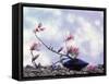 Magnolia Branch in Vase-Roland Krieg-Framed Stretched Canvas