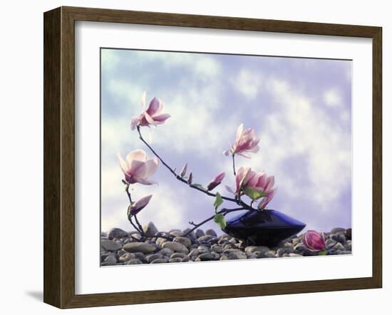 Magnolia Branch in Vase-Roland Krieg-Framed Photographic Print