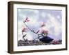 Magnolia Branch in Vase-Roland Krieg-Framed Photographic Print