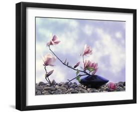 Magnolia Branch in Vase-Roland Krieg-Framed Photographic Print