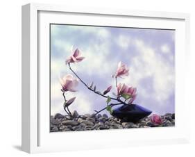 Magnolia Branch in Vase-Roland Krieg-Framed Photographic Print