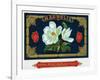 Magnolia Brand Cigar Box Label-Lantern Press-Framed Art Print