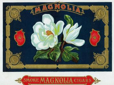 magnolia brand cigar box label poster lantern press allposters com