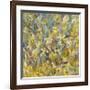 Magnolia Butterfly-Amy Dixon-Framed Giclee Print