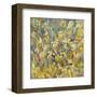 Magnolia Butterfly-Amy Dixon-Framed Art Print