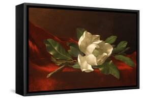 Magnolia, C.1885-95-Martin Johnson Heade-Framed Stretched Canvas