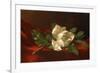 Magnolia, C.1885-95-Martin Johnson Heade-Framed Giclee Print