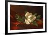 Magnolia, C.1885-95-Martin Johnson Heade-Framed Giclee Print