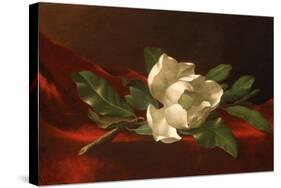 Magnolia, C.1885-95-Martin Johnson Heade-Stretched Canvas