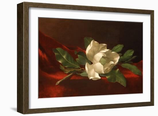 Magnolia, C.1885-95-Martin Johnson Heade-Framed Giclee Print