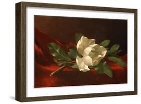 Magnolia, C.1885-95-Martin Johnson Heade-Framed Giclee Print