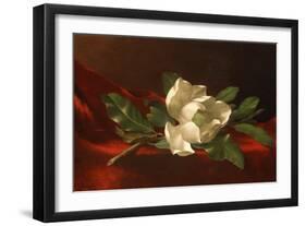 Magnolia, C.1885-95-Martin Johnson Heade-Framed Giclee Print