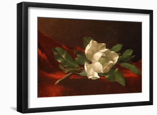 Magnolia, C.1885-95-Martin Johnson Heade-Framed Giclee Print