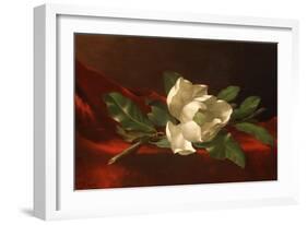 Magnolia, C.1885-95-Martin Johnson Heade-Framed Giclee Print