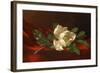 Magnolia, C.1885-95-Martin Johnson Heade-Framed Giclee Print