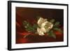 Magnolia, C.1885-95-Martin Johnson Heade-Framed Giclee Print