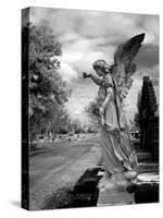 Magnolia Cemetery, Mobile, Alabama-Carol Highsmith-Stretched Canvas