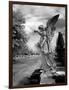 Magnolia Cemetery, Mobile, Alabama-Carol Highsmith-Framed Art Print