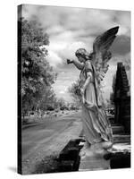 Magnolia Cemetery, Mobile, Alabama-Carol Highsmith-Stretched Canvas