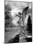 Magnolia Cemetery, Mobile, Alabama-Carol Highsmith-Mounted Art Print