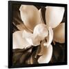 Magnolia Close Up I-Christine Zalewski-Framed Art Print