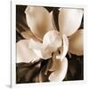 Magnolia Close Up I-Christine Zalewski-Framed Art Print