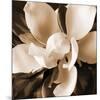 Magnolia Close Up I-Christine Zalewski-Mounted Art Print