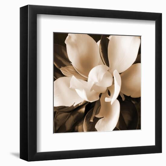 Magnolia Close Up I-Christine Zalewski-Framed Art Print