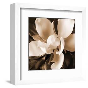 Magnolia Close Up I-Christine Zalewski-Framed Art Print