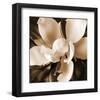 Magnolia Close Up I-Christine Zalewski-Framed Art Print