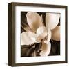 Magnolia Close Up I-Christine Zalewski-Framed Art Print